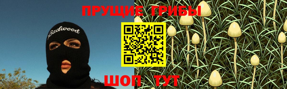 Псилоцибиновые грибы Magic Shrooms  Псилоцибиновые грибы ЛСД  Вход с VPN  Дмитров 