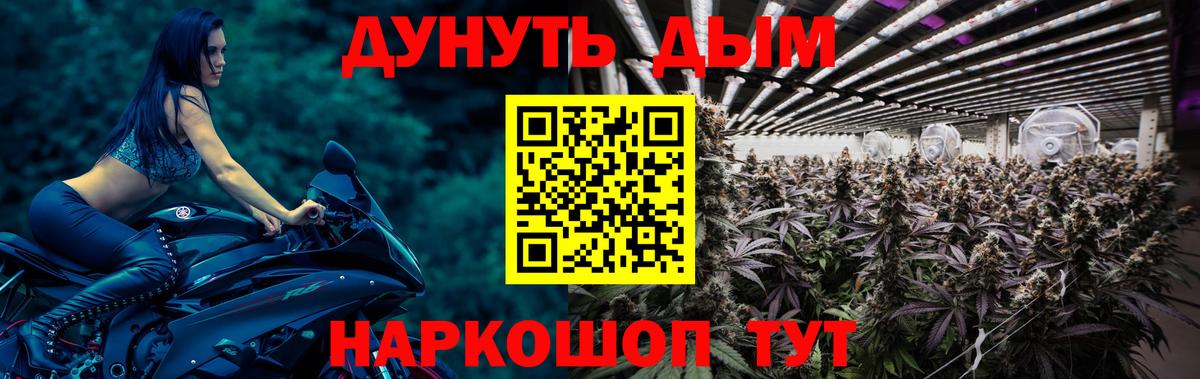 Бошки марихуана семена  МАРИХУАНА сатива  Вход с VPN  Дмитров  Канабис гибрид 